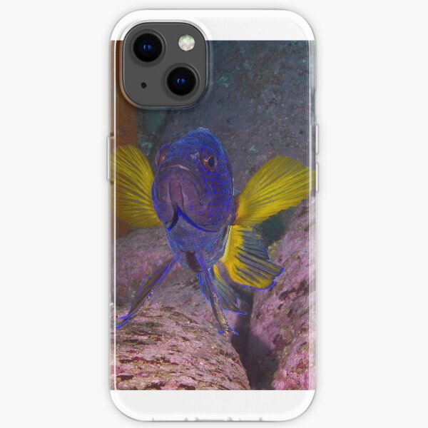 Skillion eastern blue devil iPhone Soft Case