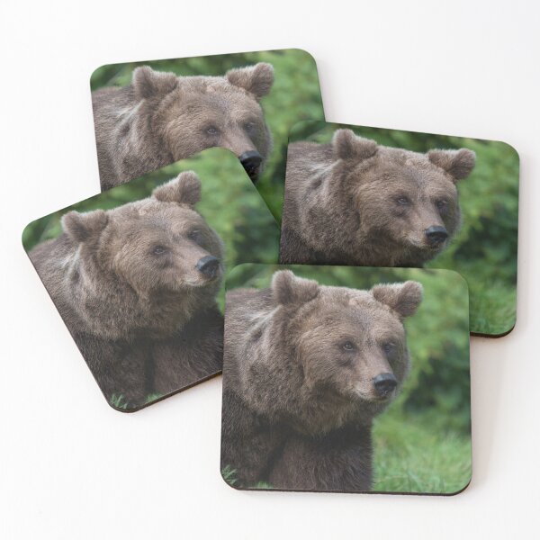Item preview, Face to Face with a Grizzly designed and sold by rawshutterbug.