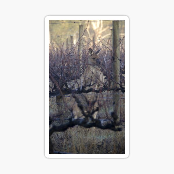 Item preview, Winter Hideaway at Magpie Springs by Avril Thomas designed and sold by MagpieSprings.