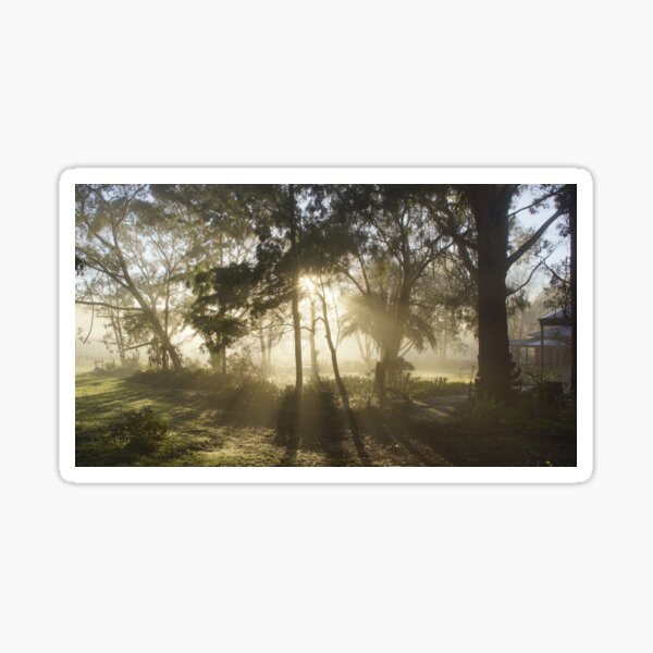 Item preview, Dawn at Magpie Springs by Adelaide Artist Avril Thomas  designed and sold by MagpieSprings.
