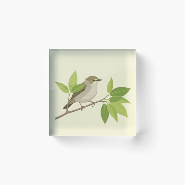 Item preview, The Willow Warbler - Minimalist Bird Art designed and sold by TheArtEngineer.