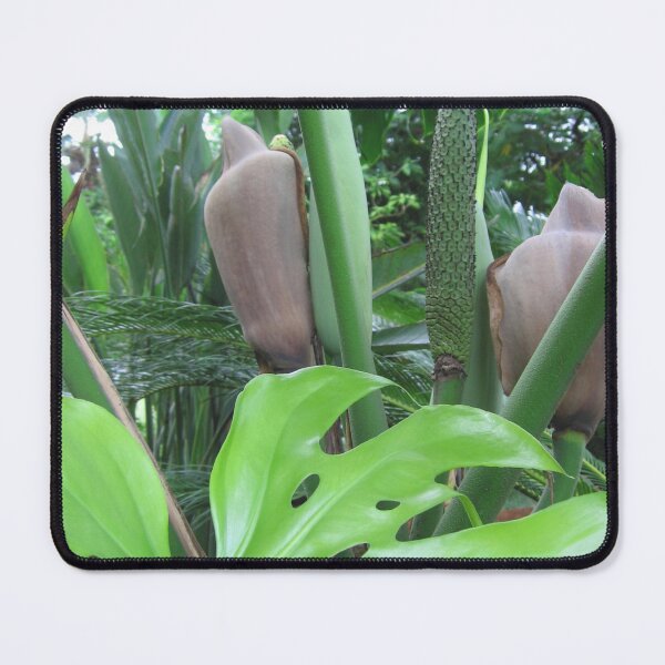 Item preview, Green Density designed and sold by RosJoy.