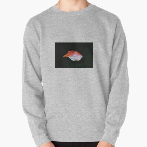 Skillion Cave Terrigal Cuttlefish Pullover Sweatshirt