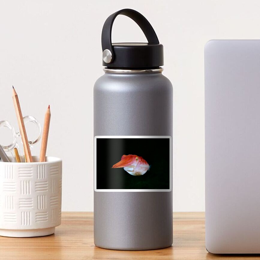 Skillion Cave Terrigal Cuttlefish Sticker