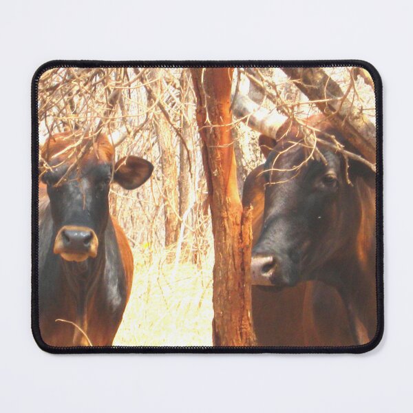 Item preview, Twinning designed and sold by RosJoy.