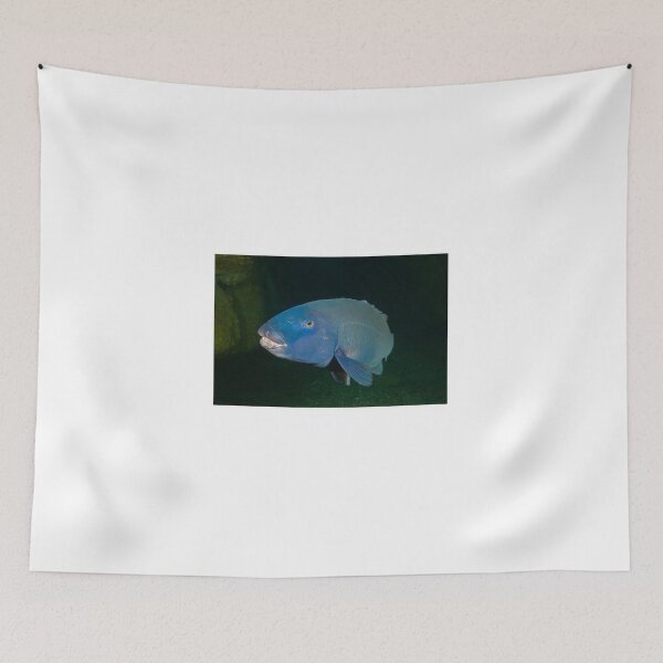 Item preview, Skillion Cave Terrigal Grouper designed and sold by Matt-Dowse.