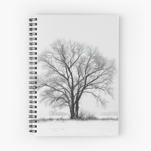 Item preview, Fine Art Minimalistic Landscape designed and sold by Synthartik.