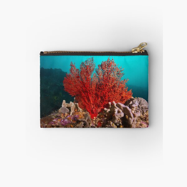Item preview, Spoon Reef Coral  designed and sold by Matt-Dowse.