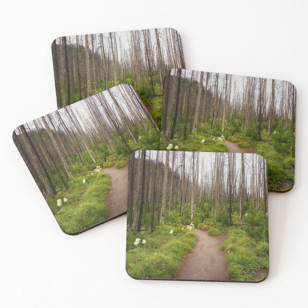 Item preview, Hiking Through a Burn - Waterton Lakes designed and sold by Kathy Weaver.