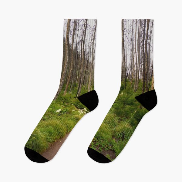 Item preview, Hiking Through a Burn - Waterton Lakes designed and sold by Kathy Weaver.