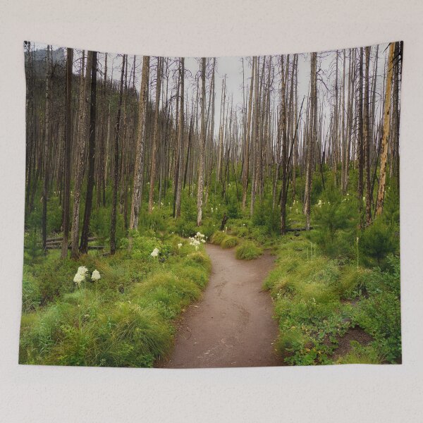 Item preview, Hiking Through a Burn - Waterton Lakes designed and sold by Kathy Weaver.