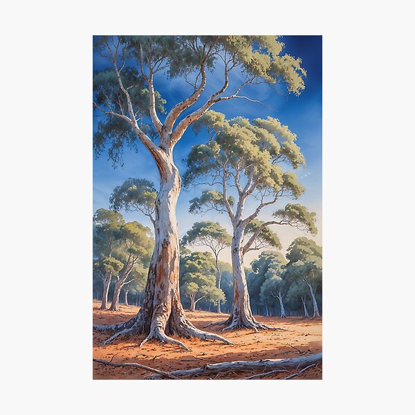 Item preview, Australian Eucalyptus Trees Watercolour #2 designed and sold by AussieConcepts.
