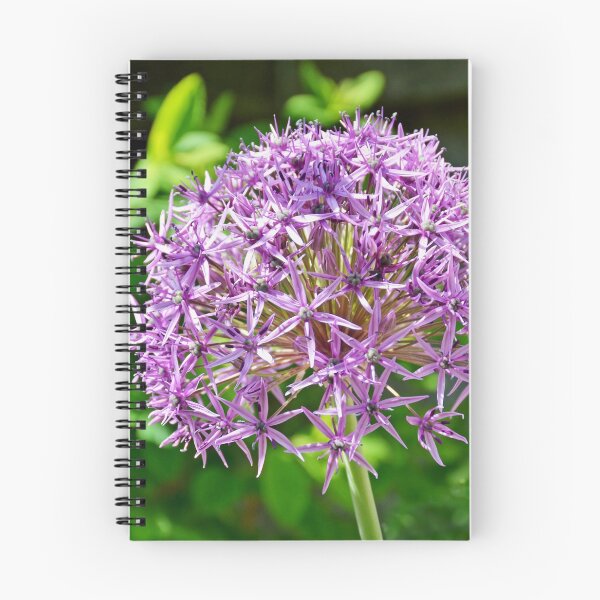 Item preview, Alium Haarlem Superglobe designed and sold by Frank  Irwin.