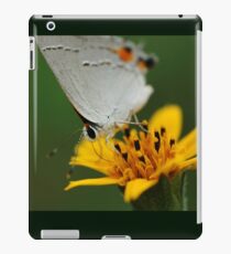 Hairstreak Butterfly Macro iPad Case/Skin