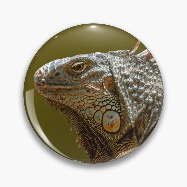 Item preview, Iguana designed and sold by Dalyndigital Photography.