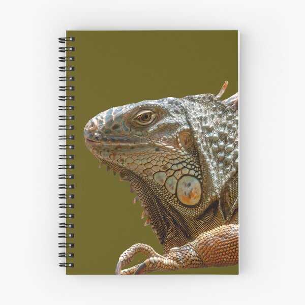 Item preview, Iguana designed and sold by Dalyndigital Photography.
