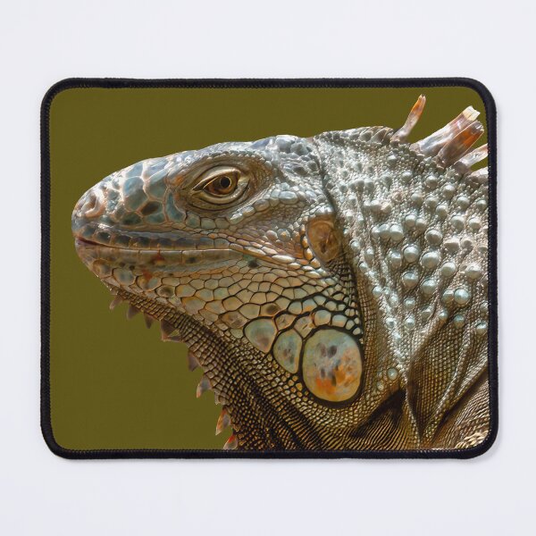 Item preview, Iguana designed and sold by Dalyndigital Photography.