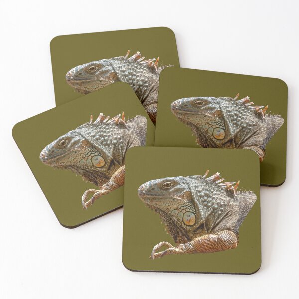 Item preview, Iguana designed and sold by Dalyndigital Photography.