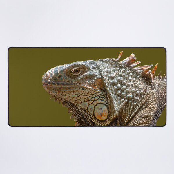 Item preview, Iguana designed and sold by Dalyndigital Photography.