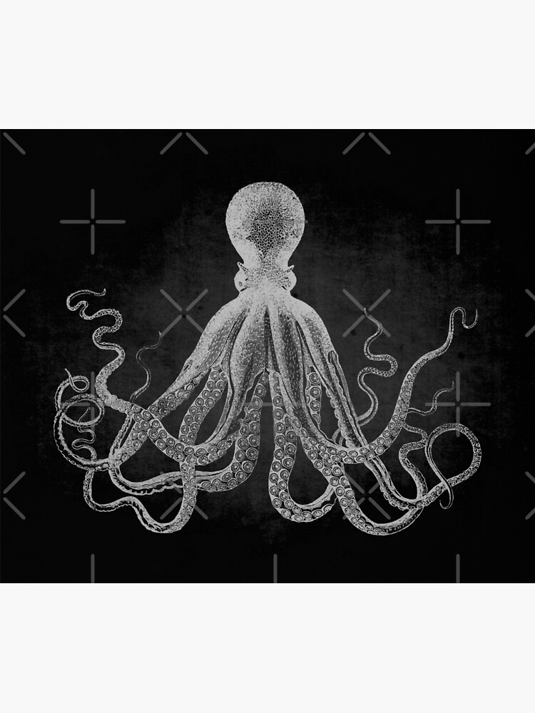 Lord Bodner's Octopus - Giant Octopus Poster buy - Nautical Art Print - Black and White - X-Large Sizes Available