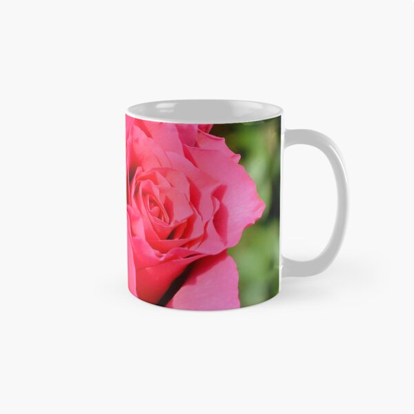 Item preview, A beautiful red hybrid tea rose designed and sold by Frank  Irwin.