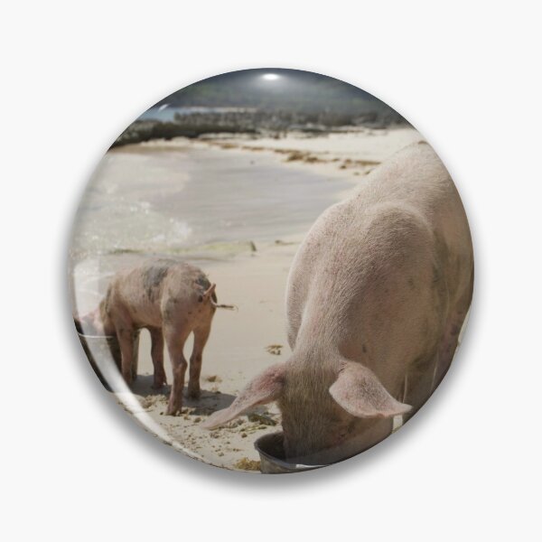 Item preview, pigs on the beach in the phillipines  designed and sold by sophiacarlton.