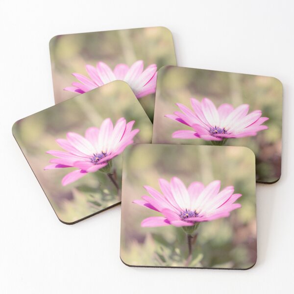 Item preview, Pink African Daisy designed and sold by Tanya C  Smith.
