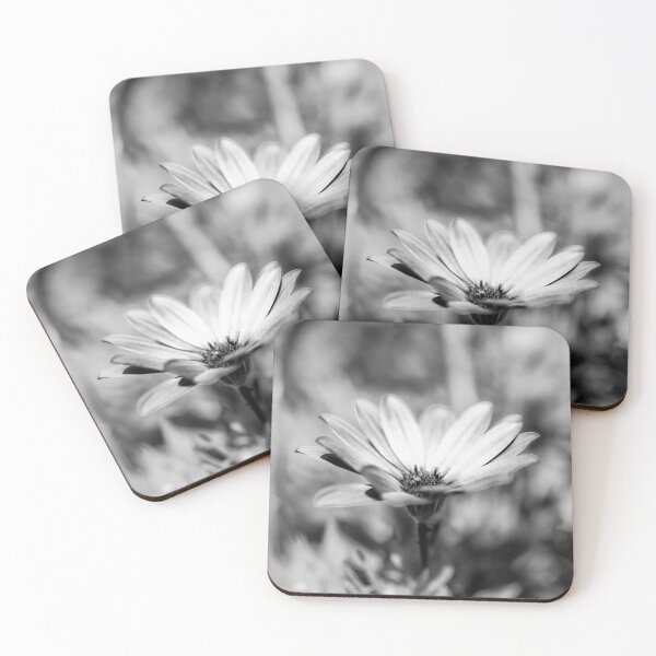 Item preview, African Daisy Black And White designed and sold by Tanya C  Smith.