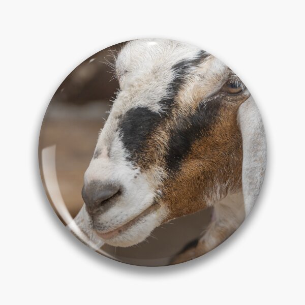 Item preview, Charming Goat at Bronte Creek Park designed and sold by jrtwynam.
