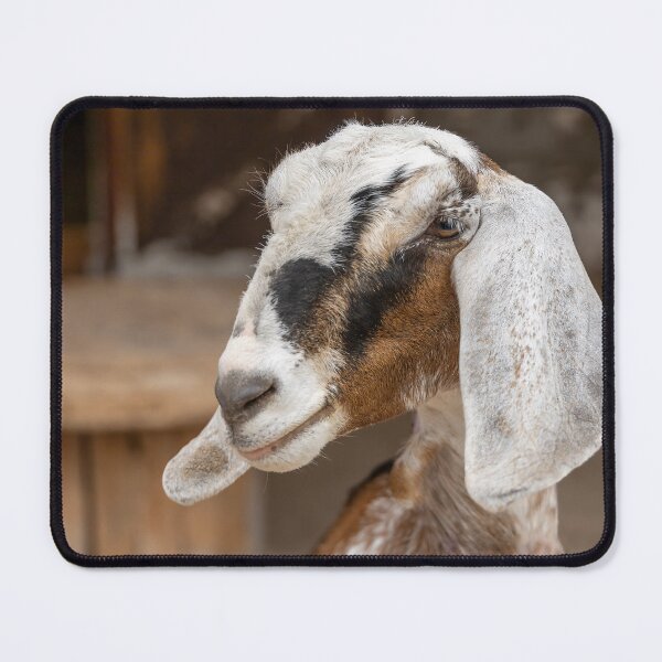 Item preview, Charming Goat at Bronte Creek Park designed and sold by jrtwynam.