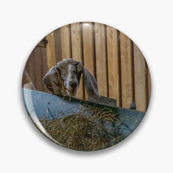 Item preview, Goat in Bronte Creek Barn designed and sold by jrtwynam.