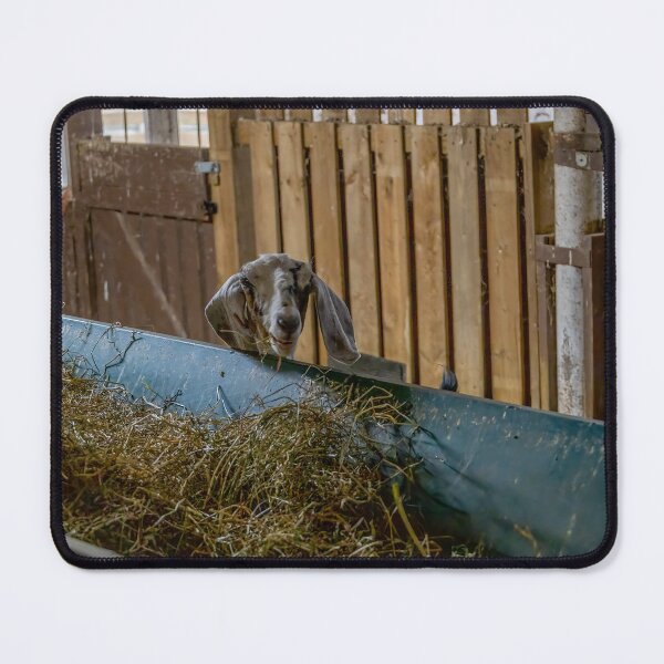 Item preview, Goat in Bronte Creek Barn designed and sold by jrtwynam.