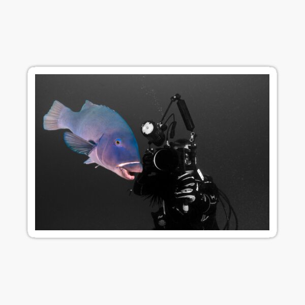 Pete with the Grouper in B&W Sticker
