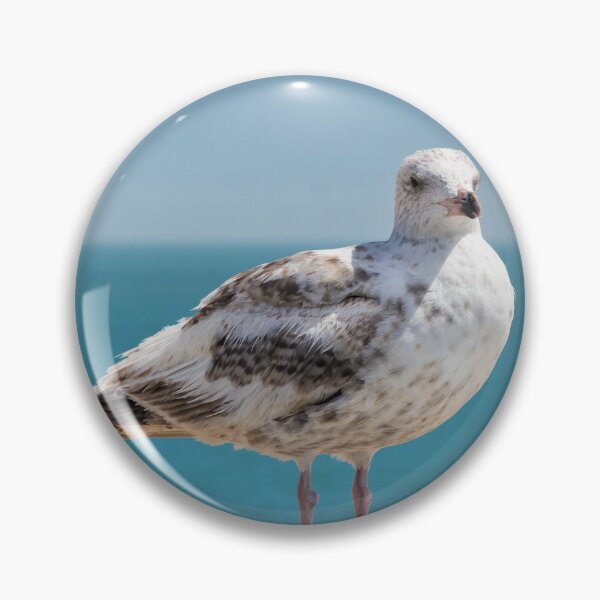 Item preview, Gull designed and sold by JEZ22.