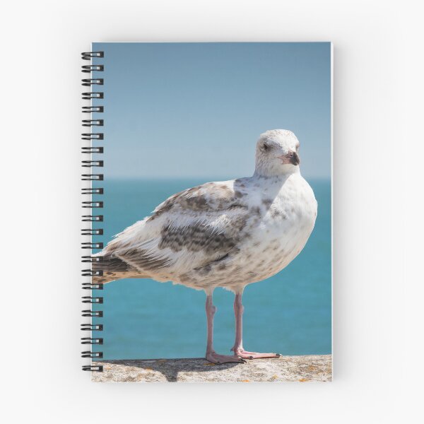 Item preview, Gull designed and sold by JEZ22.