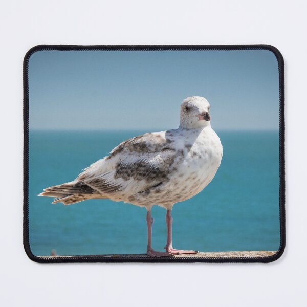 Item preview, Gull designed and sold by JEZ22.