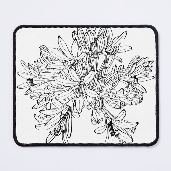 Item preview, Black silhouette of Agapanthus (Lily of the Nile) on white background. designed and sold by MatyKotiv.