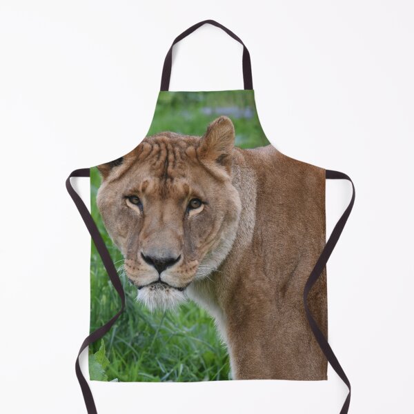Item preview, African Lion in a Zoo, Scotland designed and sold by Photogold Photo Gifts.