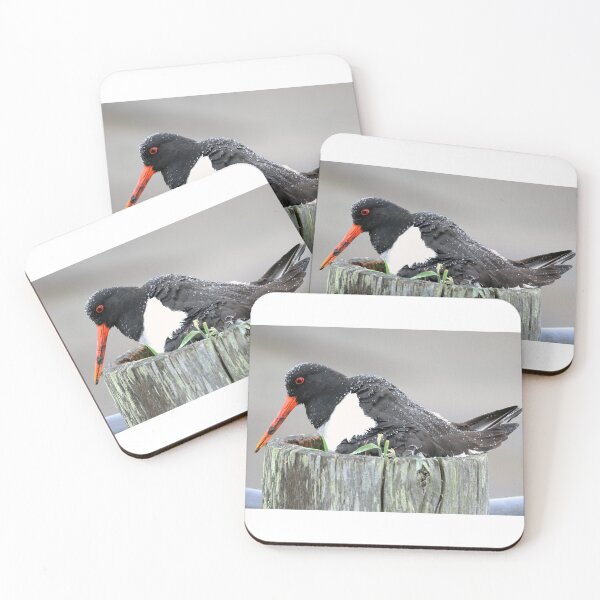 Item preview, Oystercatcher Nest in The Rain designed and sold by sandysshoots.