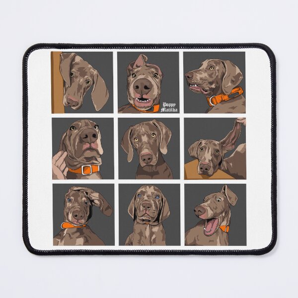 Item preview, silly wiemaraner faces designed and sold by PoppyMatildas.