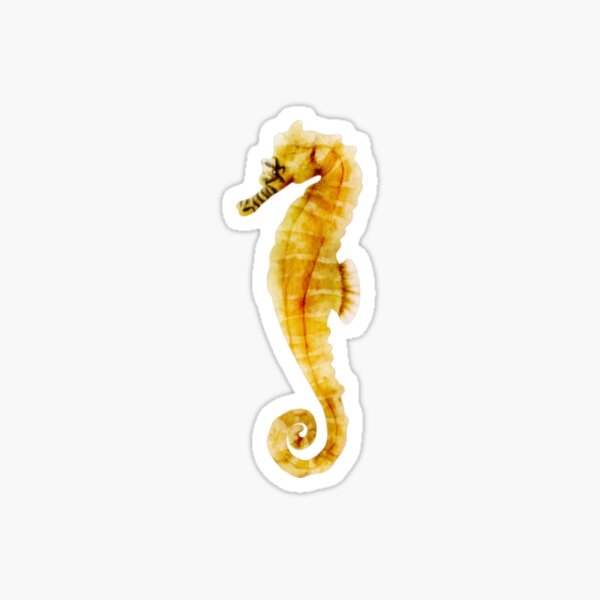 Item preview, Seahorse - Animal designed and sold by Trialloja.