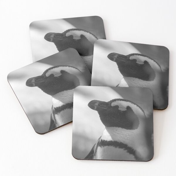 Item preview, African Penguin Photograph in Black and White designed and sold by SecondsOnEarth.