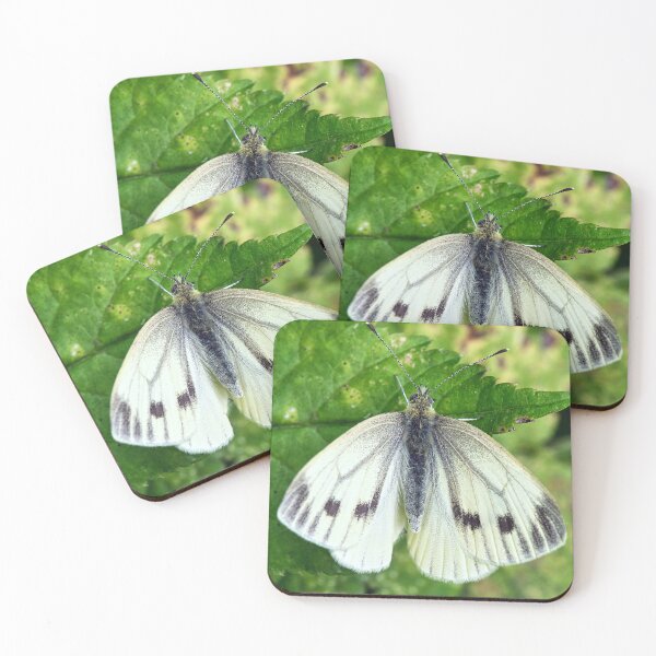 Item preview, Small White Butterfly designed and sold by Tom McPherson Photography.