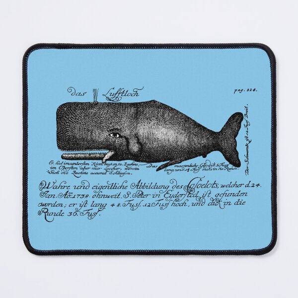 Item preview, 18th Century German Natural History Buffon Sperm Whale designed and sold by Pixelchicken.