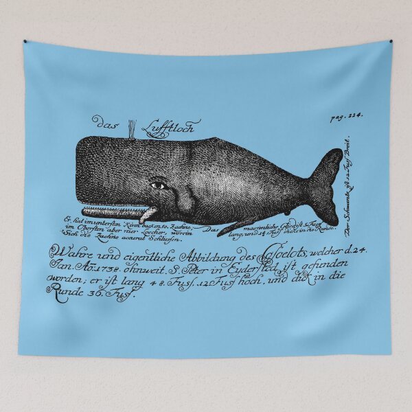 Item preview, 18th Century German Natural History Buffon Sperm Whale designed and sold by Pixelchicken.