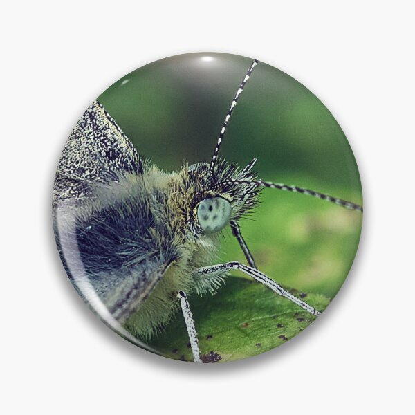Item preview, Butterfly, Small White designed and sold by Tom McPherson Photography.