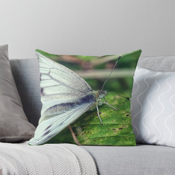 Item preview, Butterfly, Small White designed and sold by Tom McPherson Photography.