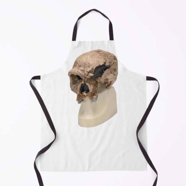 Item preview, Homo Steinheimensis Skull  designed and sold by NineX-Customs.