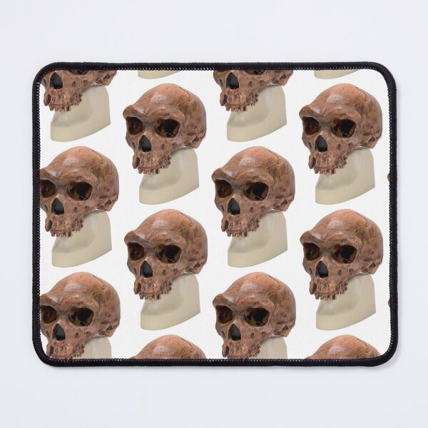 Item preview, Homo Rhodesiensis Skull  designed and sold by NineX-Customs.