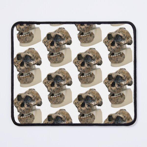 Item preview, Homo Australopithecus Skull designed and sold by NineX-Customs.